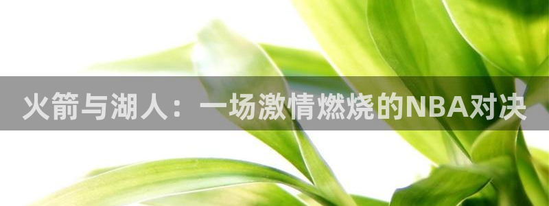 绿茵直播体育app下载：火箭与湖人：一场激情燃烧的NBA对决