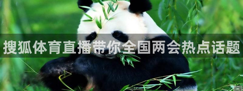 cba绿茵直播：搜狐体育直播带你全国两会热点话题