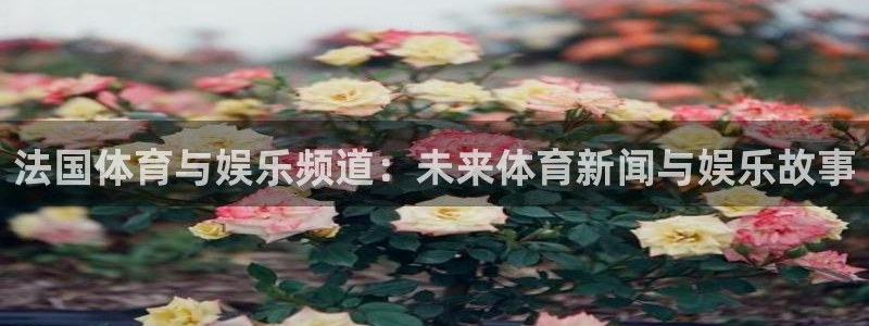 绿茵足球免费直播：法国体育与娱乐频道：未来体育新闻与娱乐故事