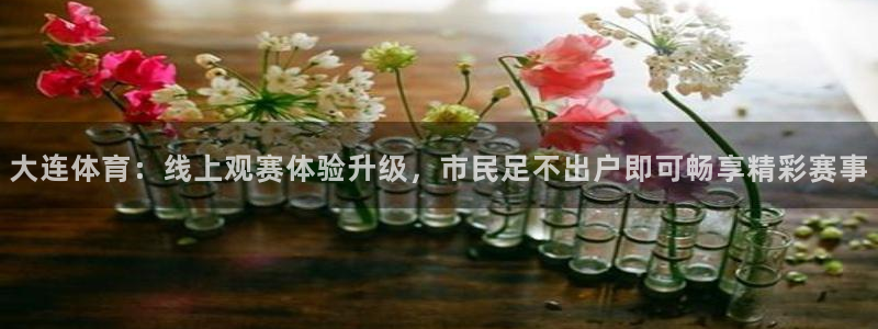 绿茵篮球直播：大连体育：线上观赛体验升级，市民足不出户即可畅享精彩赛事