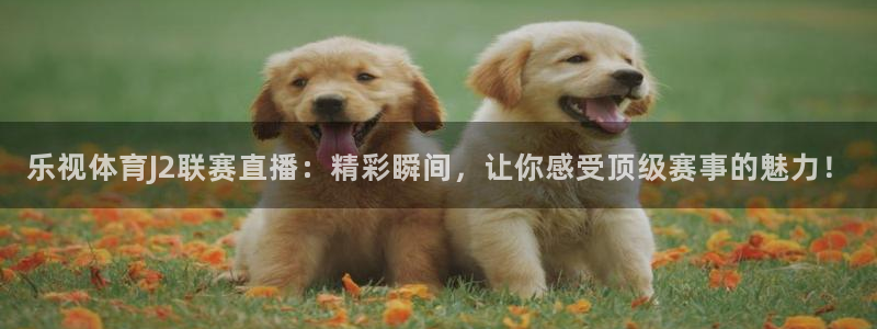 绿茵体育app下载：乐视体育J2联赛直播：精彩瞬间，让你感受顶级赛事的魅力！