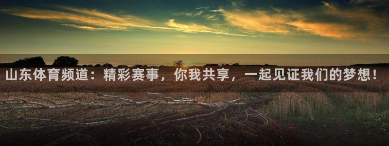 绿茵足球视频：山东体育频道：精彩赛事，你我共享，一起见证我们的梦想！